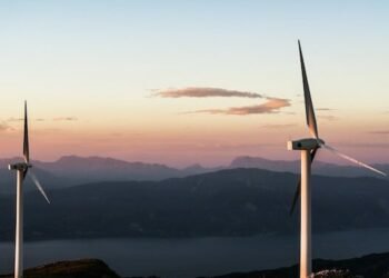 Battery Storage in Distributed Energy Resources