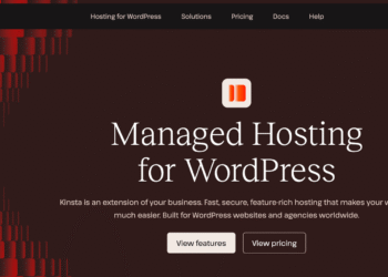 Kinsta Review
