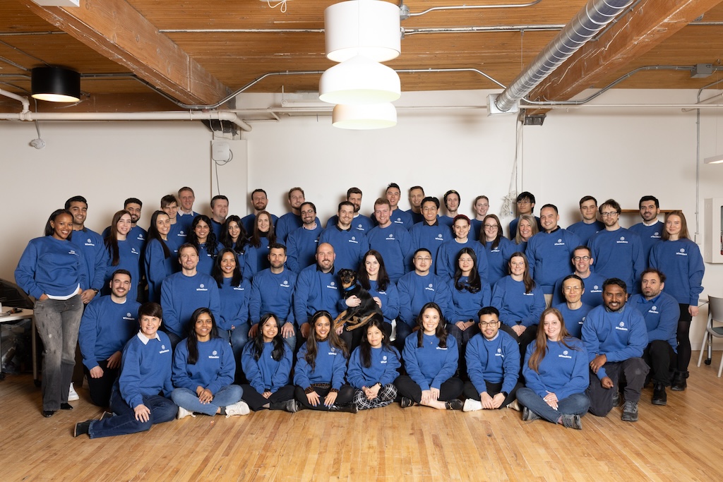 Wise Team